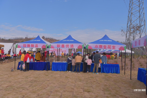 6576a063ccff5